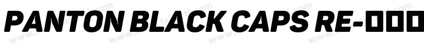 Panton Black Caps Re字体转换